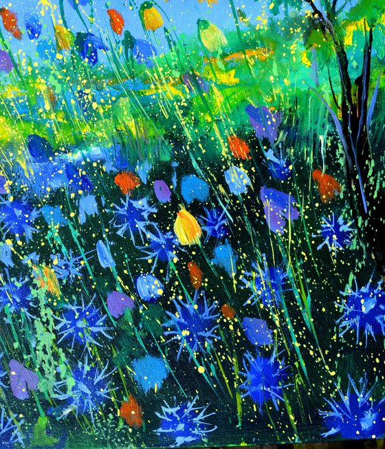 Summer Wild flowers -5623