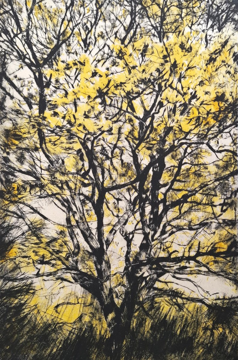 Impressionistic Landscape Etchings & Engravings By Fiona Hamilton, 18 X 25, Golden Oak, Original Artwork