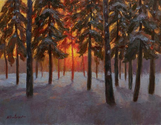 Sunset In The Pine Forest - sunny winter painting