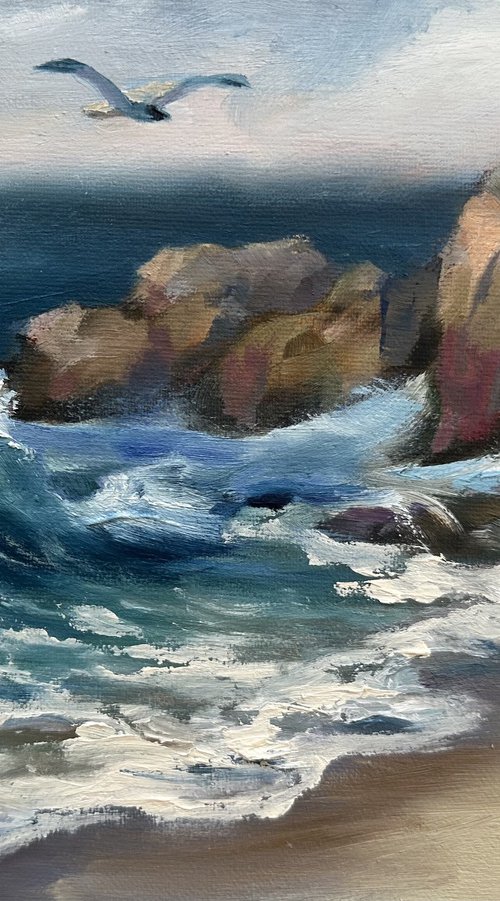 Moss Cove by Grace Diehl