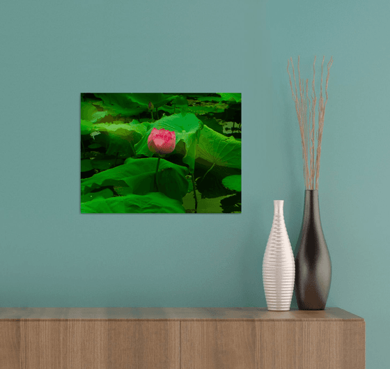 The Lotus Flower (Framed)