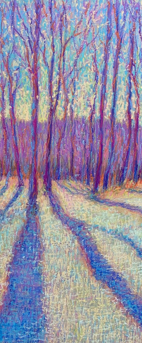 Winter Colors by Nataliia Zaharuk