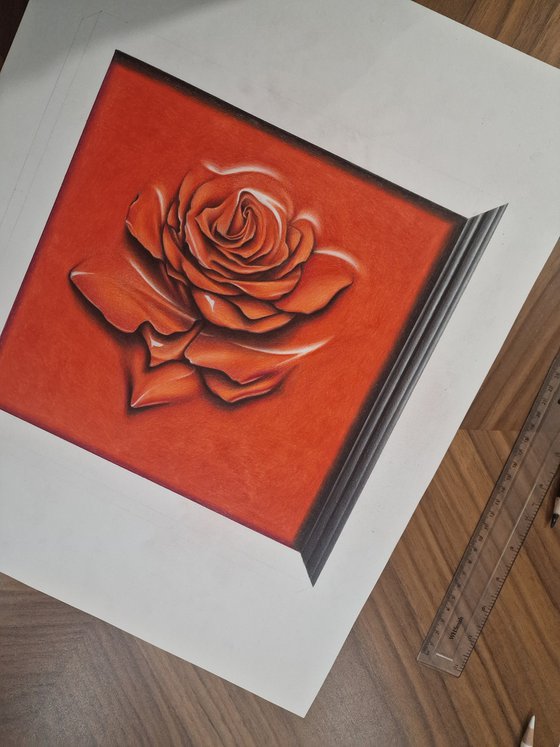 Rose behind glass within a frame