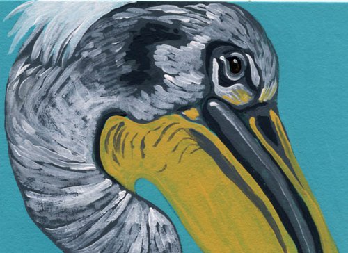 Pelican Bird by Carla Smale