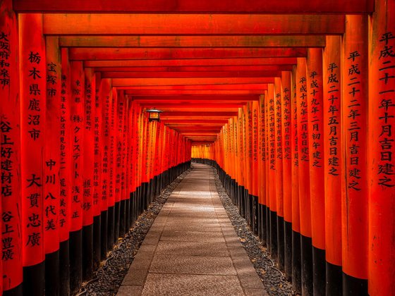 Torii Gates