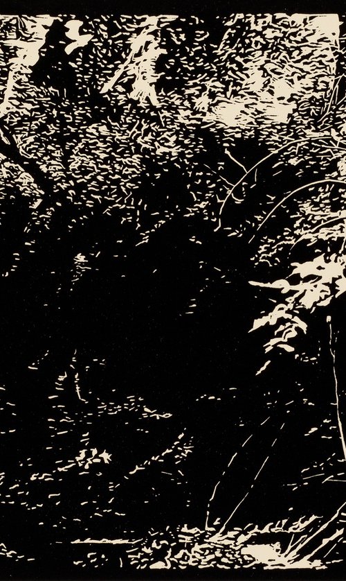 FOX HOLLOW by David Conn