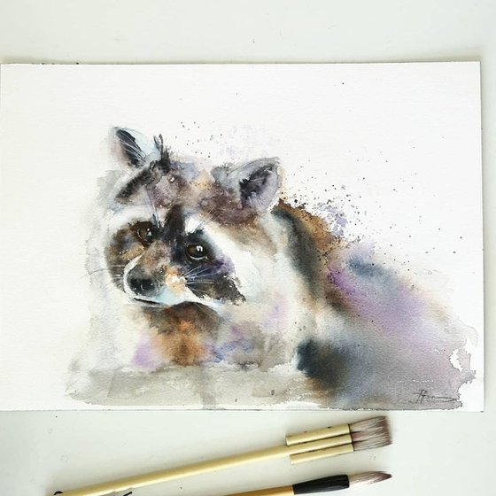 Raccoon portrait