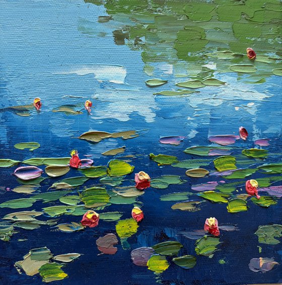 Songs of Water Lilies