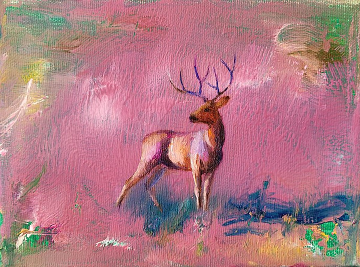 Deer at Sunset by Lisa Braun