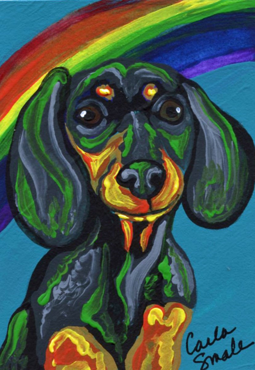 Rainbow Dachshund by Carla Smale