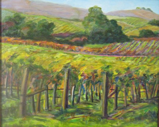 California Wine Country