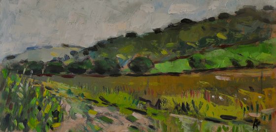 The Downs near Storrington
