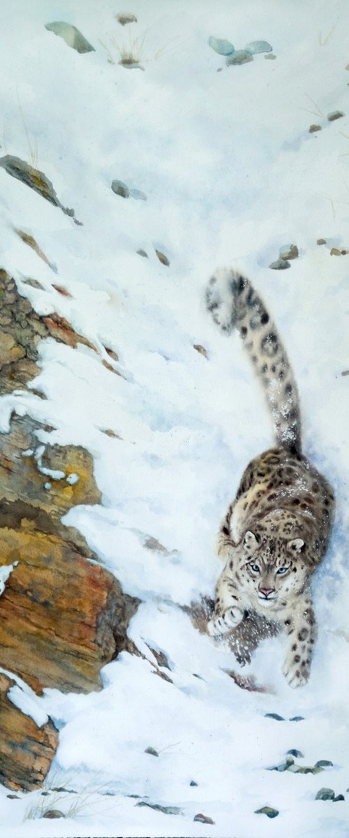 Snow Leopard by Olga Beliaeva Watercolour