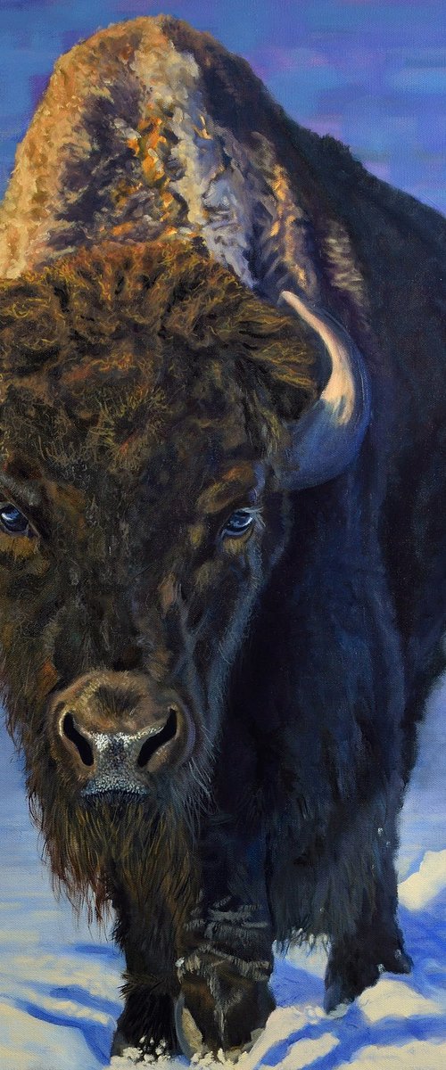 What Once Was - Bison by Jason Edward Doucette