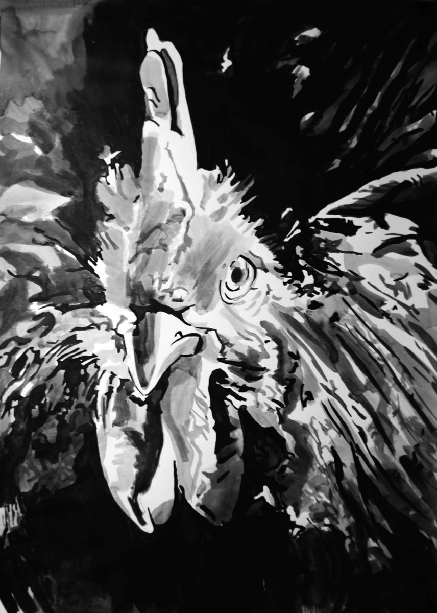 Urban And Pop Animal Ink Drawing By Alexandra Djokic, 20 X 28, Rooster, Original Artwork