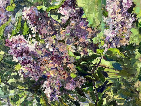 A lilac in the garden