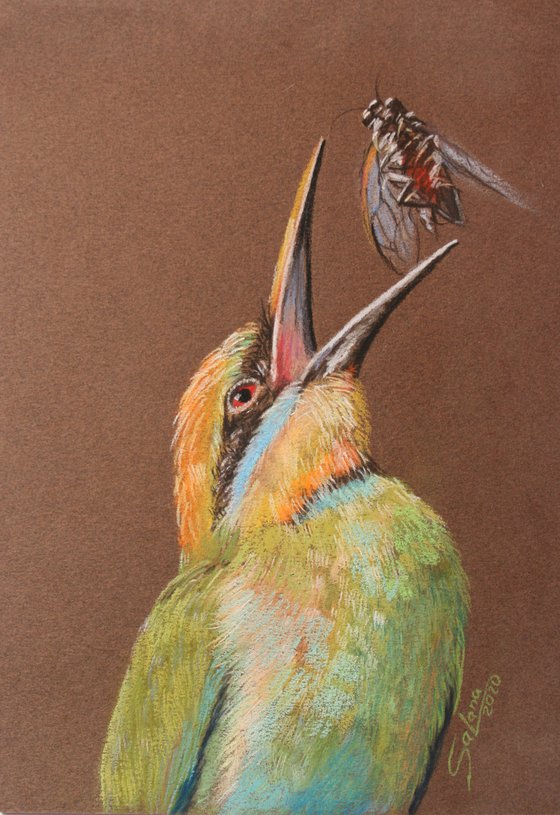 Little Green Bee-eater  6,5x9,5" /  ORIGINAL PAINTING