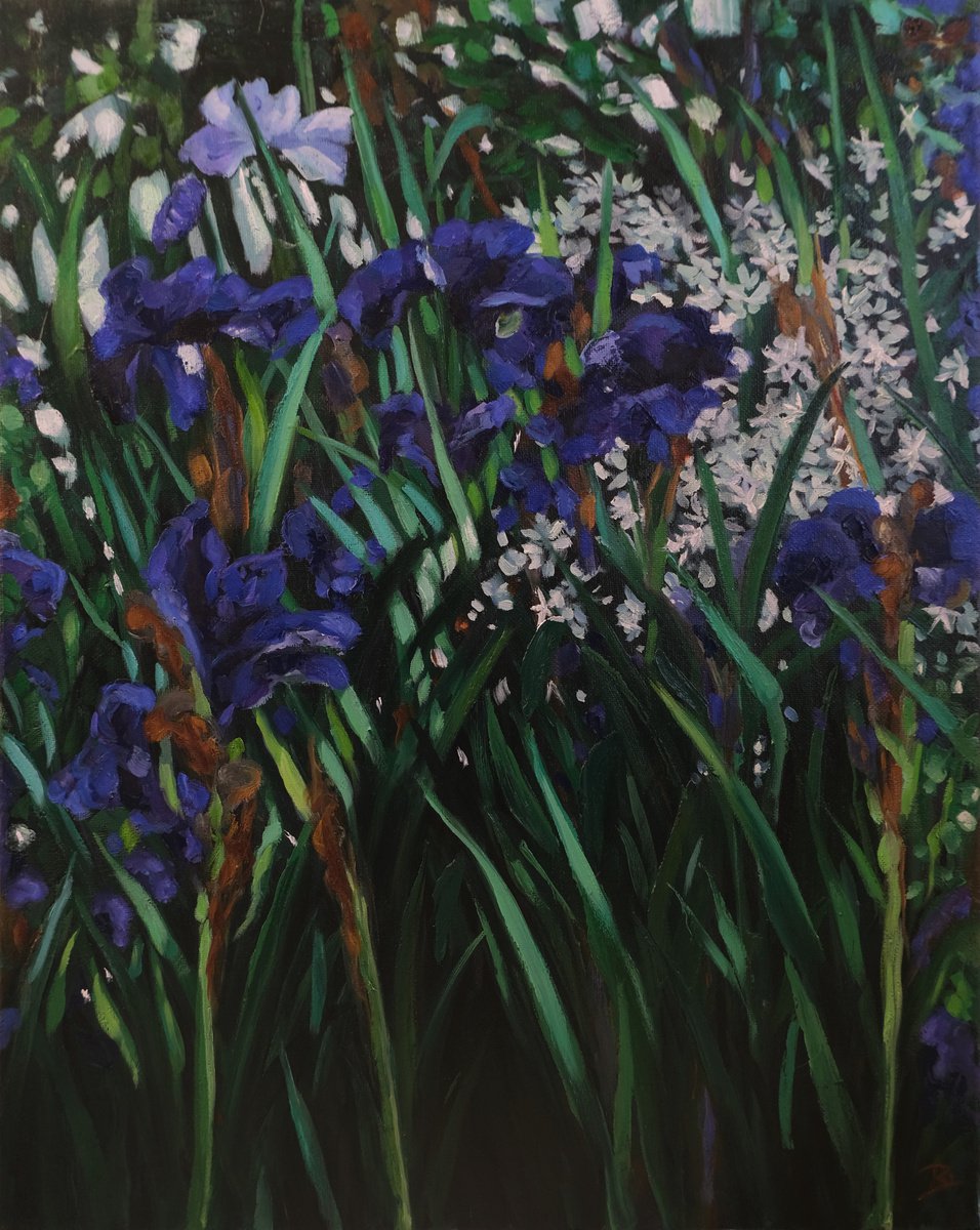 Within the Iris’s by Kerry Lisa Davies
