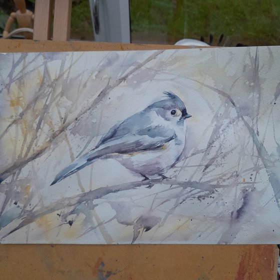 Tufted Titmouse, original watercolour painting of a bird