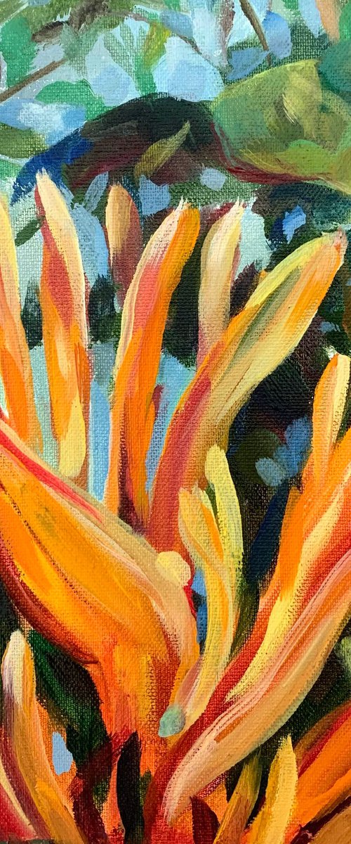 Heliconia.Floral Limited Print by MOMALYU