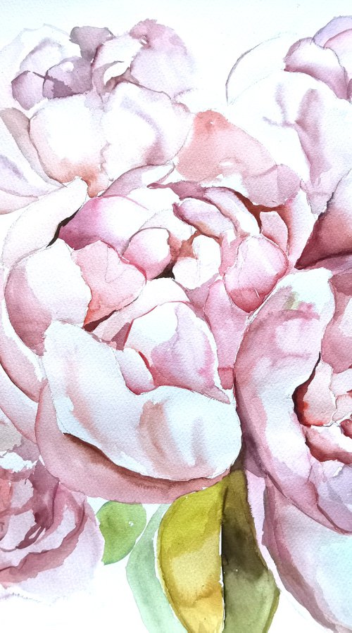 Peonies drawing on paper, Flowers painting by Annet Loginova
