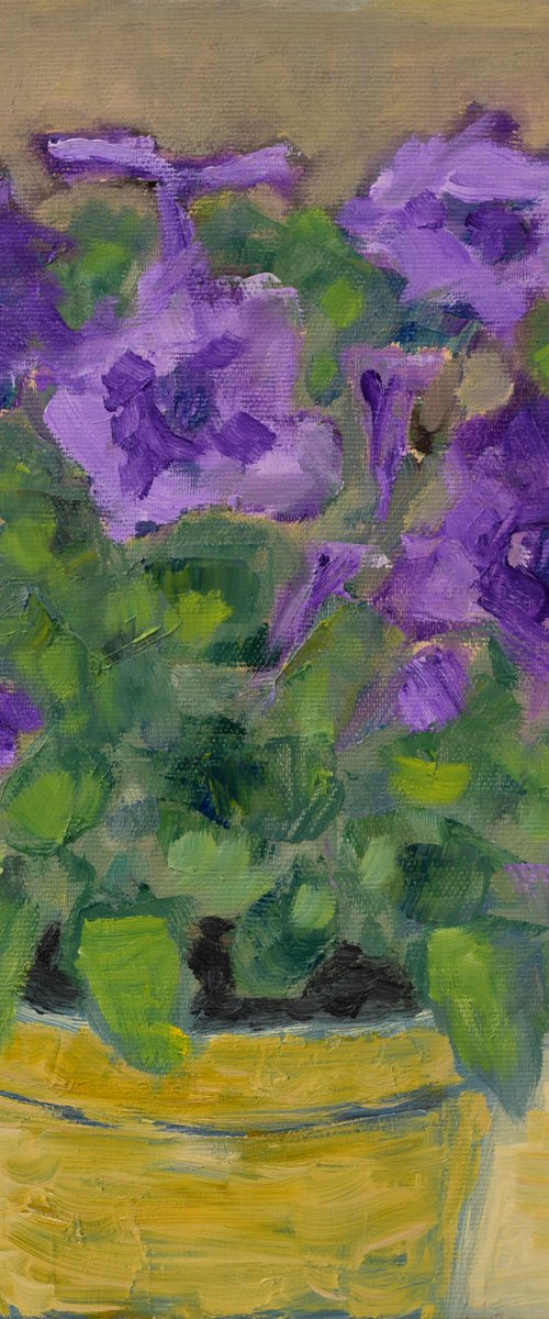 Violet Petunia by Elena Zapassky