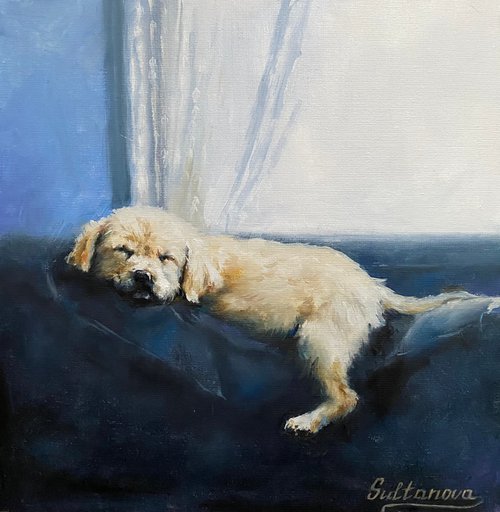 Sleeping puppy by Elvira Sultanova