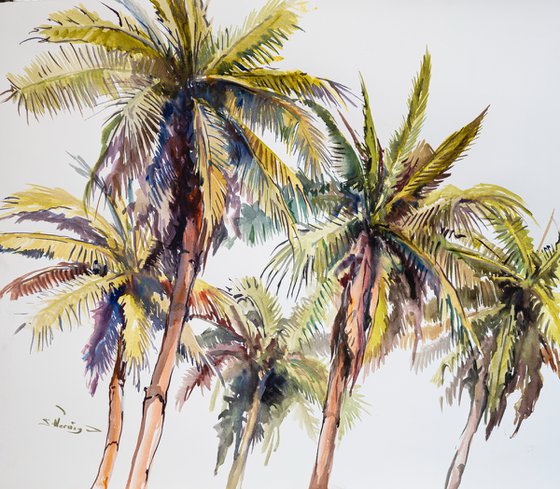 Coconut Palm Trees