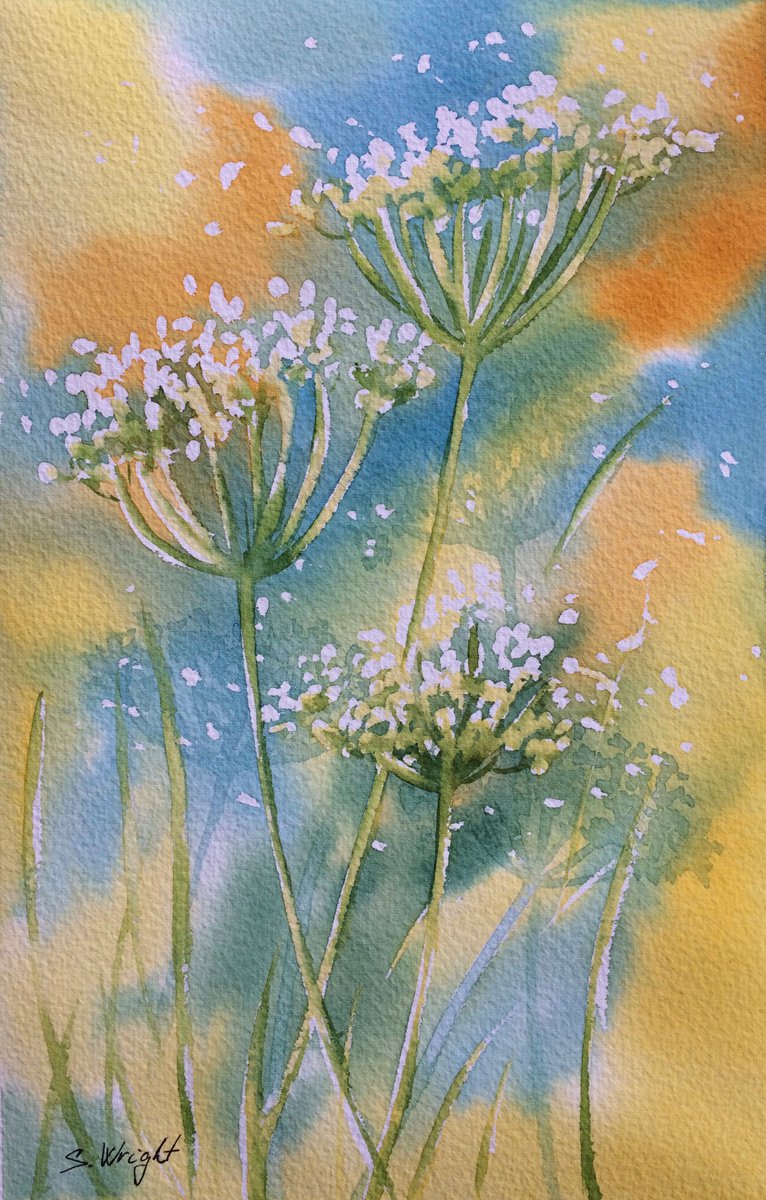 Silvie Wright | Original  Watercolour | Cow Parsley 2 | 17 X 26Cm | Artwork For Sale On Artfinder
