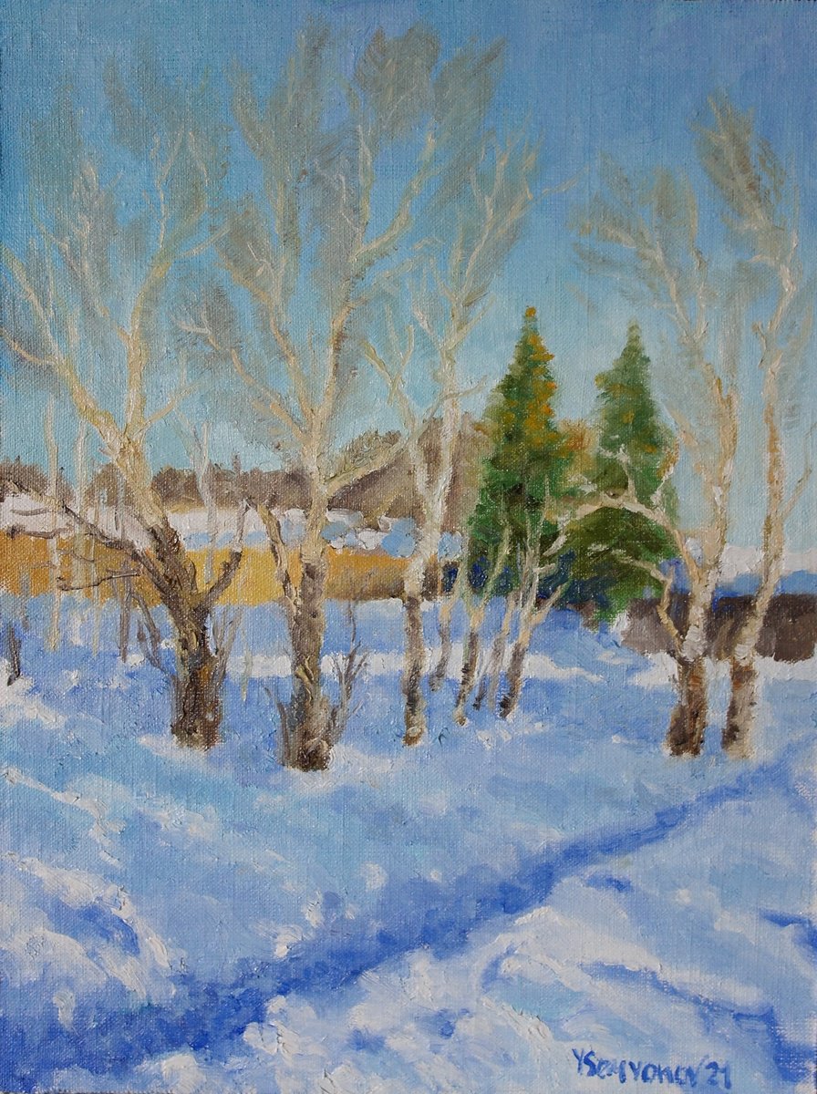 Winter Sunny Day By Juri Semjonov, 12 X 16, Artwork For Sale On Artfinder