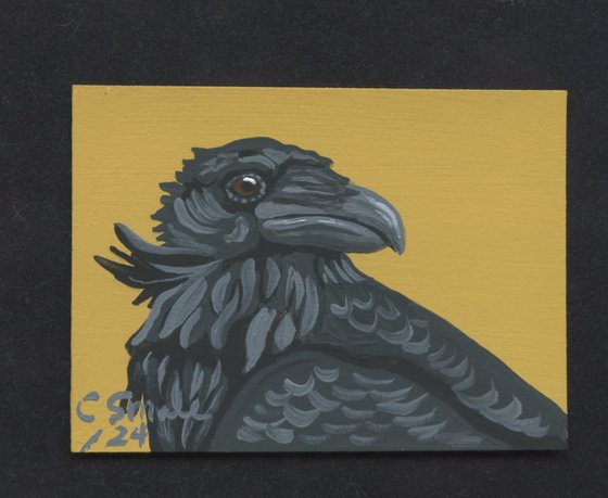 Crow Raven Bird