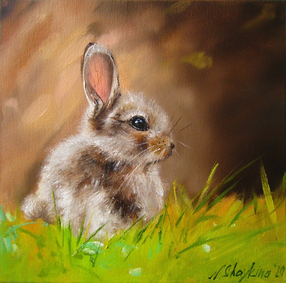 Bunny Oil painting by Natalia Shaykina Artfinder