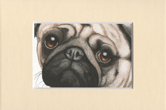 Doggie pug - miniatures