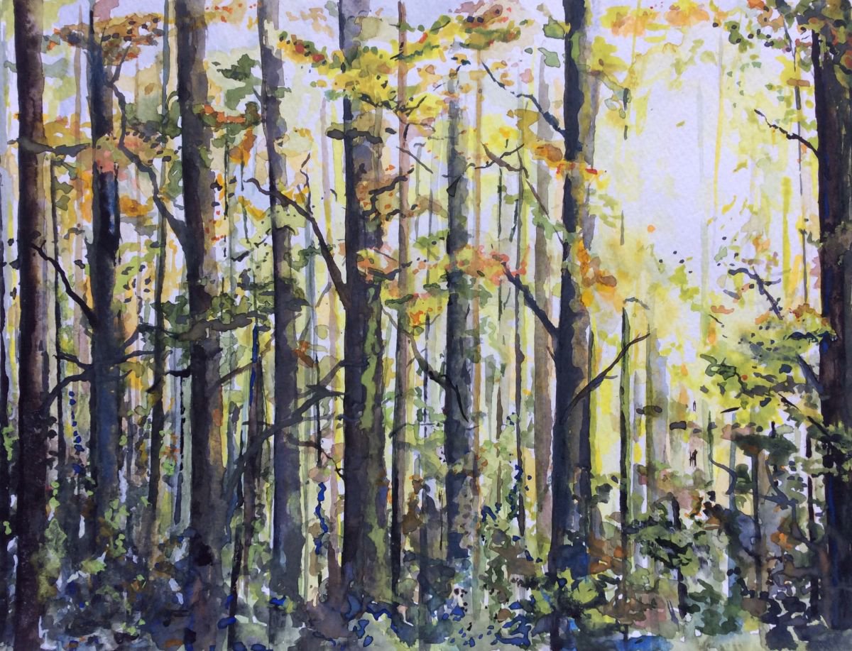 Autumn Woodland by Lucy Smerdon