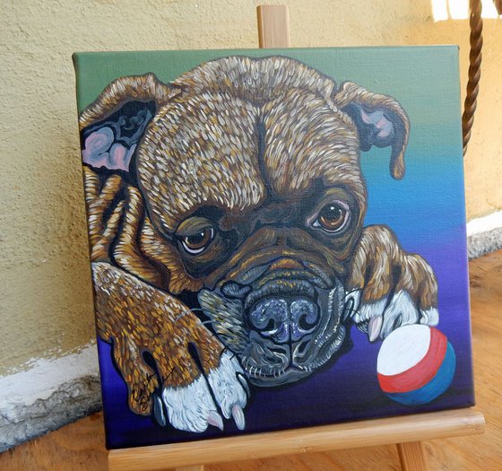 Boxer Pet Dog Original Art Painting-10 x 10 Inches Stretched Canvas-Carla Smale