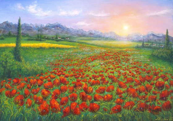 Serene poppy field