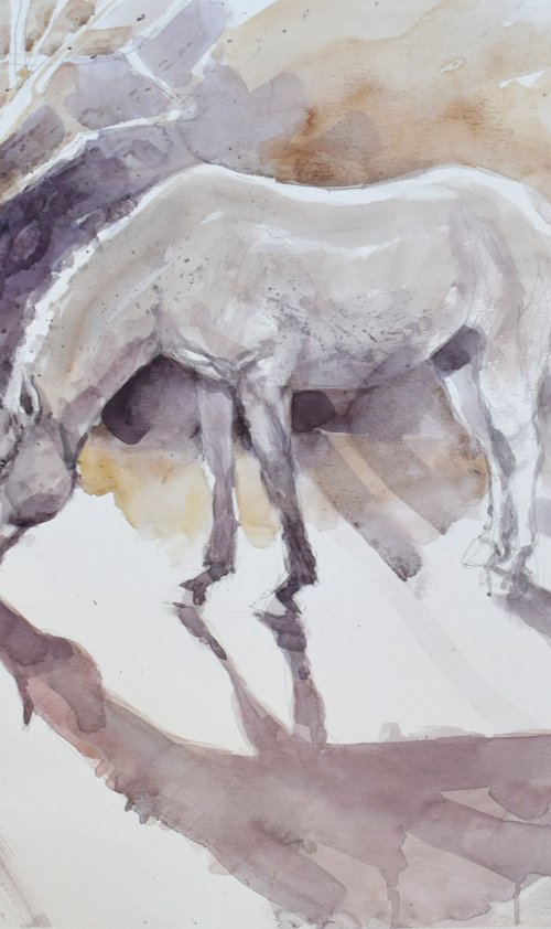 Horse in the  light (70x50) by Goran Žigolić Watercolors