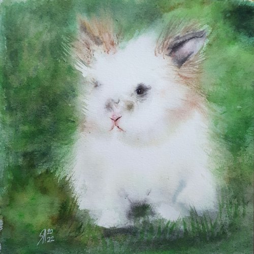 Bunny IV... 8x8"  - ANIMAL PORTRAIT / ORIGINAL PAINTING by Salana Art Gallery