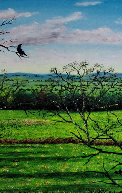 Shadows Across Cheshire by Hazel Thomson