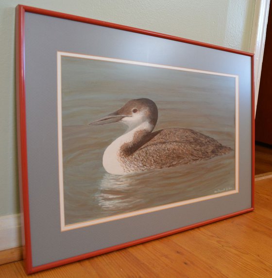 Winter Loon - framed 17X11 inch acrylic