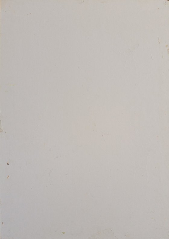 Window 1.
