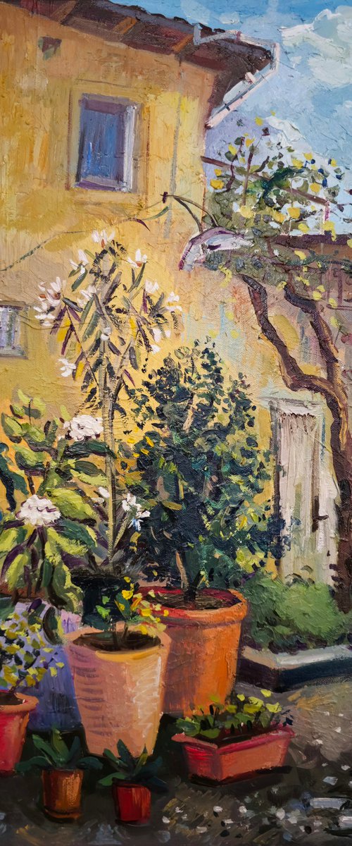 Blossoms in the garden by Joan Mato