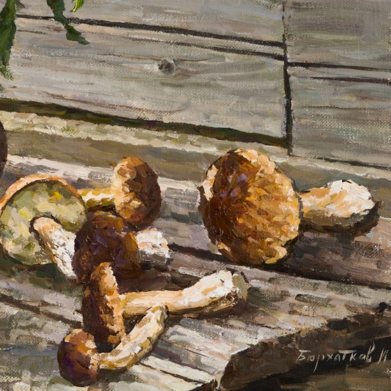 Porcini Mushrooms