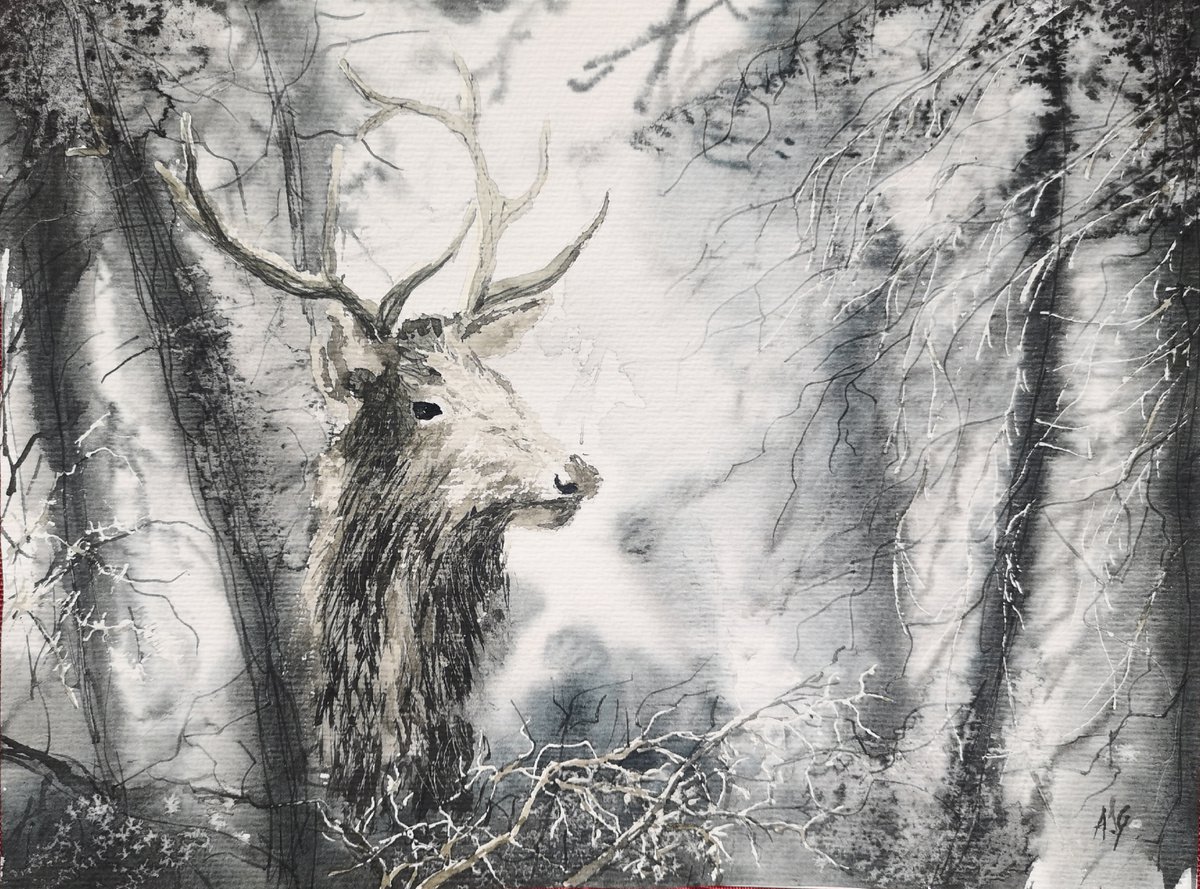 Impressionistic Animal Watercolour By Aneta Gajos, 13 X 9, Oh Deer...., Original Artwork