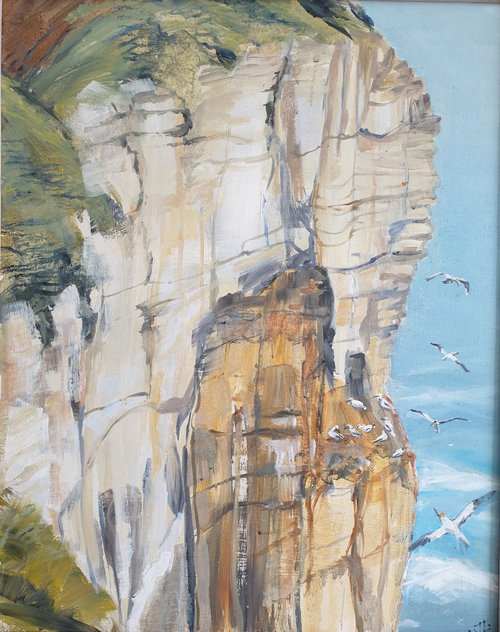 Bempton Cliffs near Flamborough Head by Jean  Luce