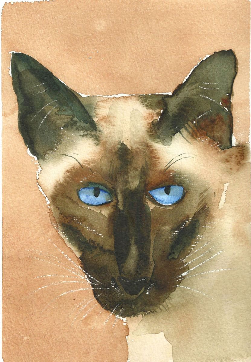 I know what you’re thinking Cat Painting by Mary Stubberfield