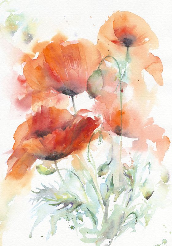 Poppies