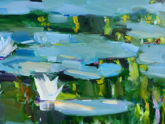 "Water Lilies "