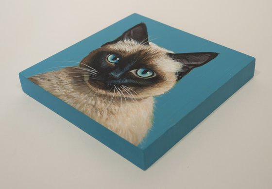 "Siamese Stare — Hyperrealistic Cat Portrait"