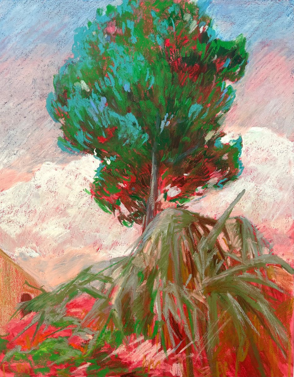 Expressive Pastel Drawing , Tree Portrait By Anna Bogushevskaya, 20 X 26, Artwork For Sale On Artfinder